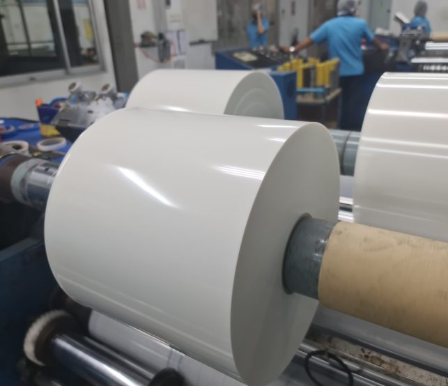 Flat Sheet Extrusion