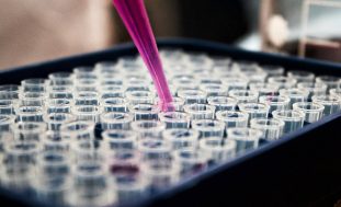 Antimicrobial and Disinfectant-Compatible Plastics