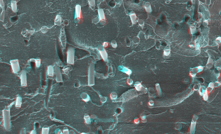 Reinforced Plastics & Composite Polymers